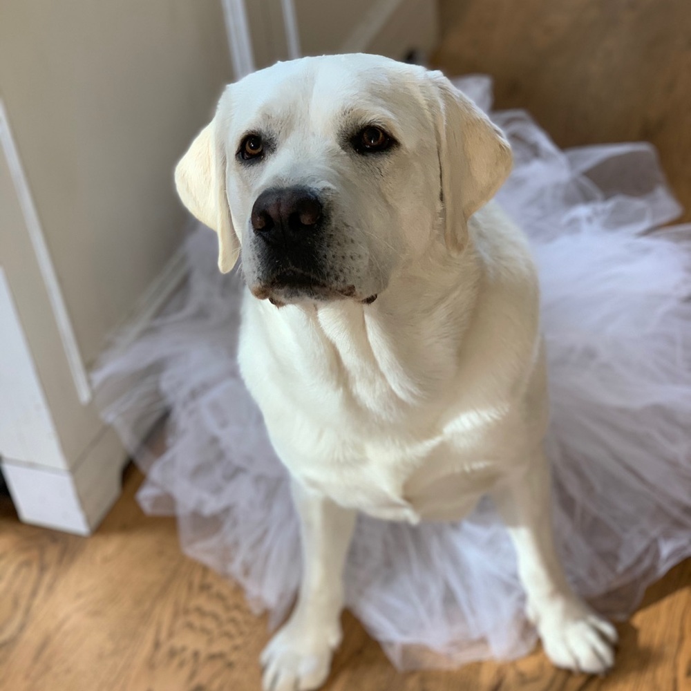 Meet your Posher, Kate